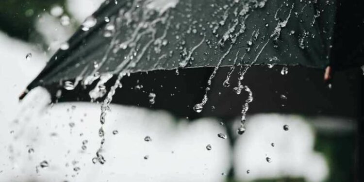 IMD forecasts rain in Andhra Pradesh for next three days
