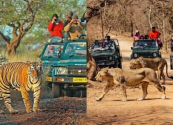 Fascinated by wildlife safaris? Here are 6 places in India where you can get on one