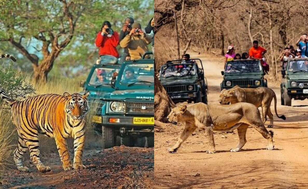 national parks in India that offer wildlife safaris