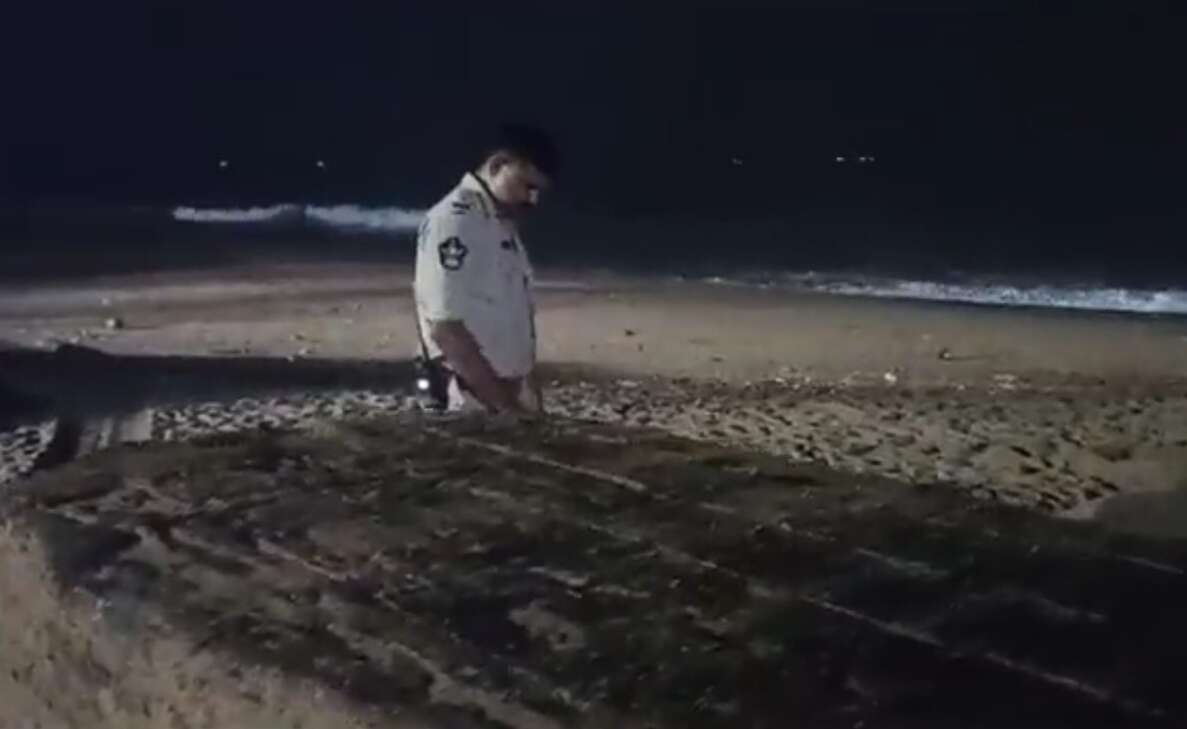 Mysterious wooden box washes ashore on RK Beach in Vizag, assumed to weigh 100 tonnes