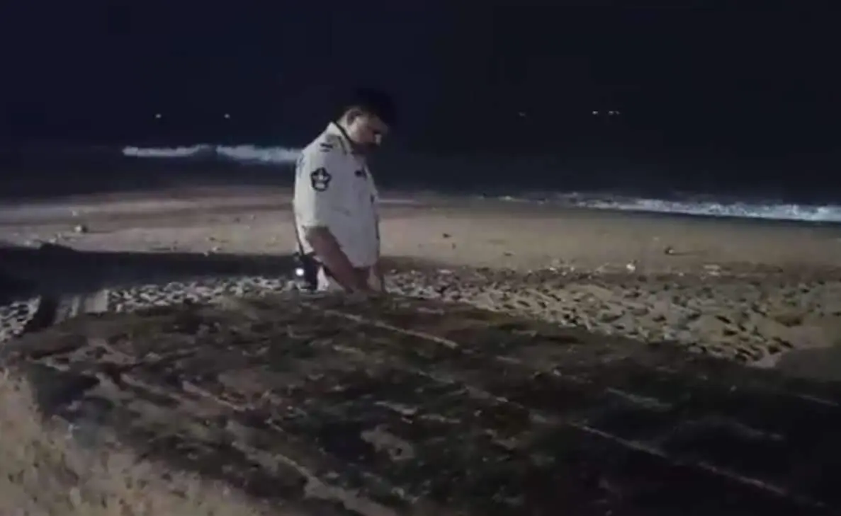 Officials crack mystery of wooden box which washed ashore on RK Beach in Vizag