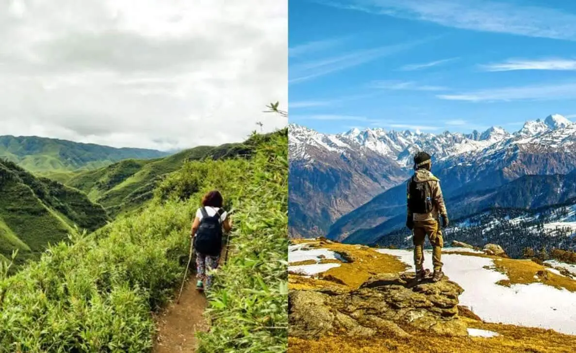 Embark on an adventure through lush greenery at these scenic forest treks in India