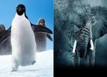 Beyond Cartoons: 5 must-watch educative documentaries for kids on OTT