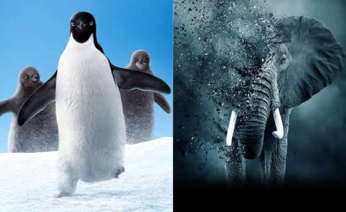 Beyond Cartoons: 5 must-watch educative documentaries for kids on OTT