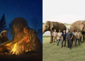 5 must-watch wildlife documentaries on OTT for an enchanting experience