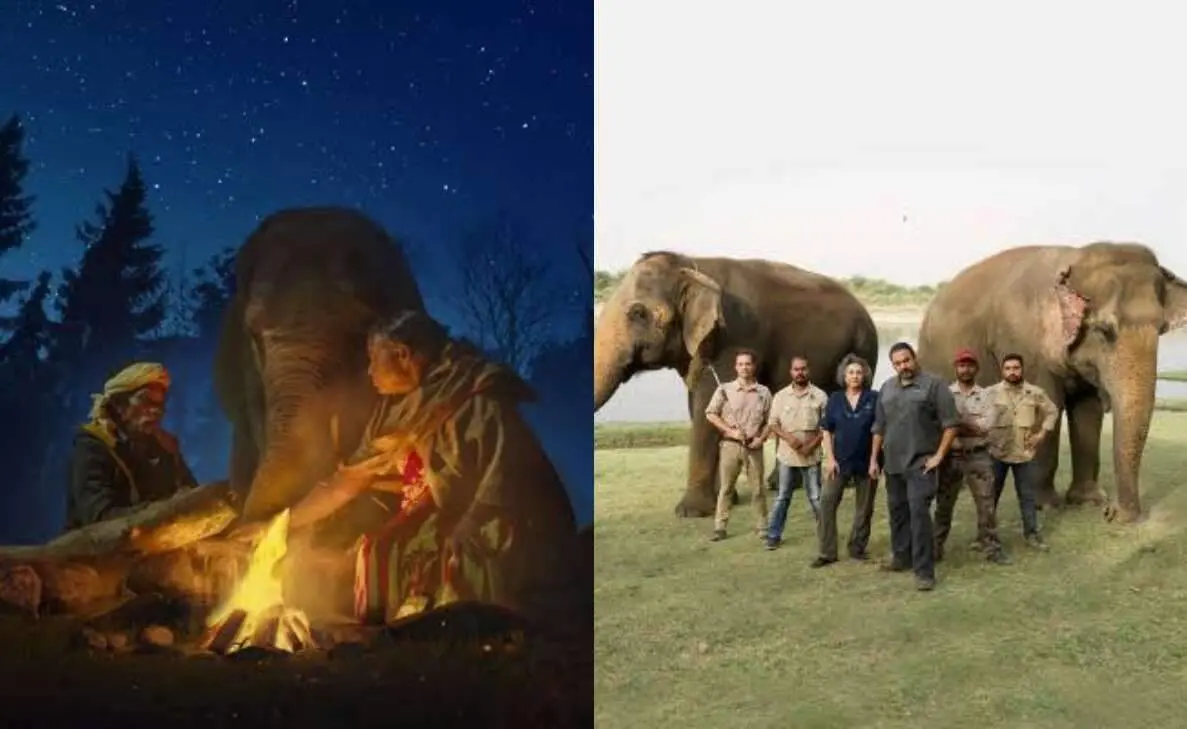 5 must-watch wildlife documentaries on OTT for an enchanting experience