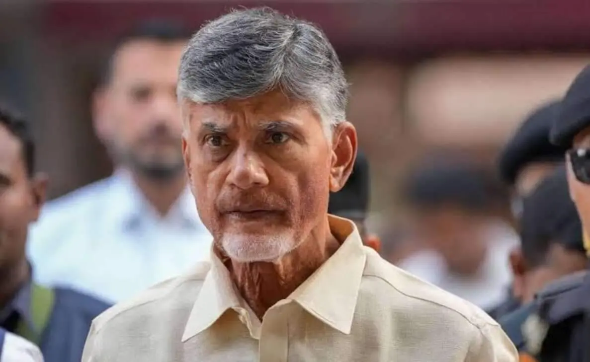 HC grants regular bail to Chandrababu Naidu in skill development scam case