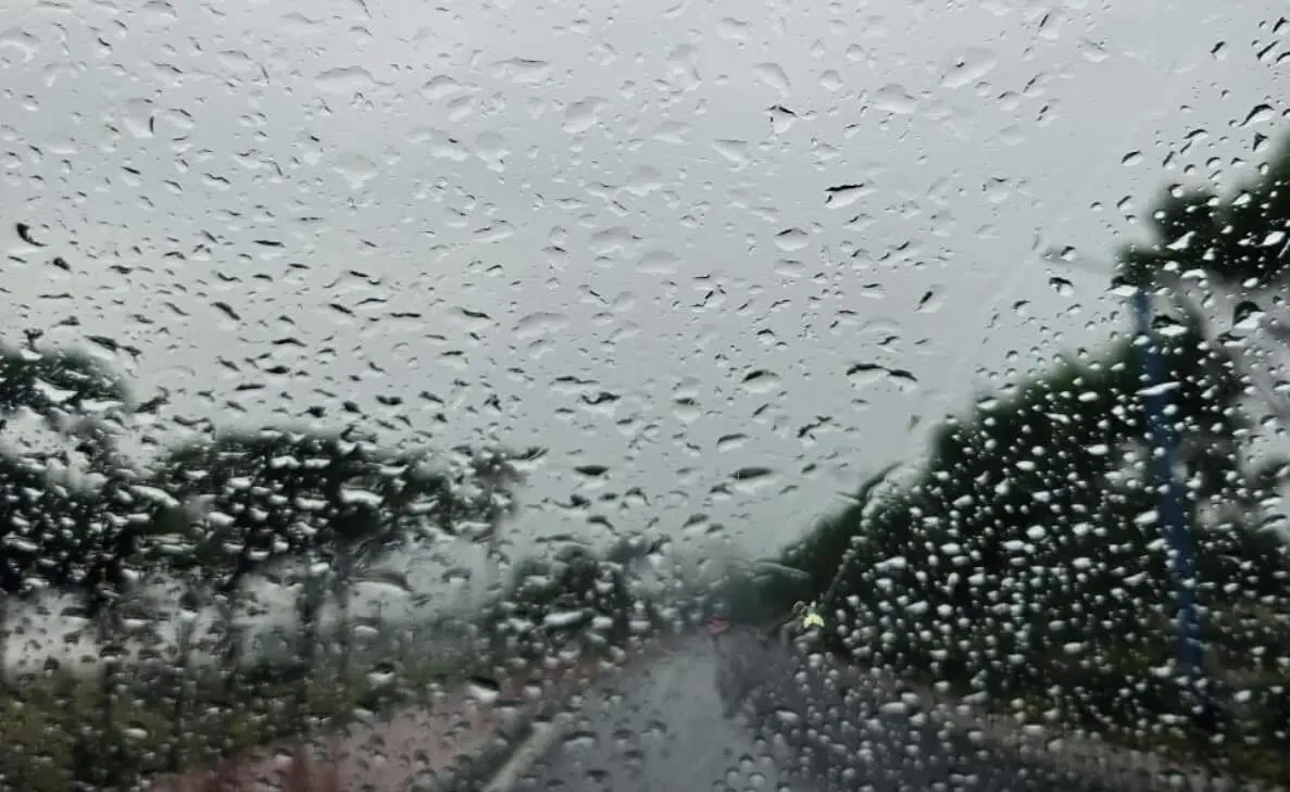 Cyclone Michaung Alert: Schools shut in Visakhapatnam