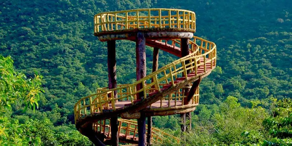 7 Birdwatching spots in Vizag to visit for a enchanting experience