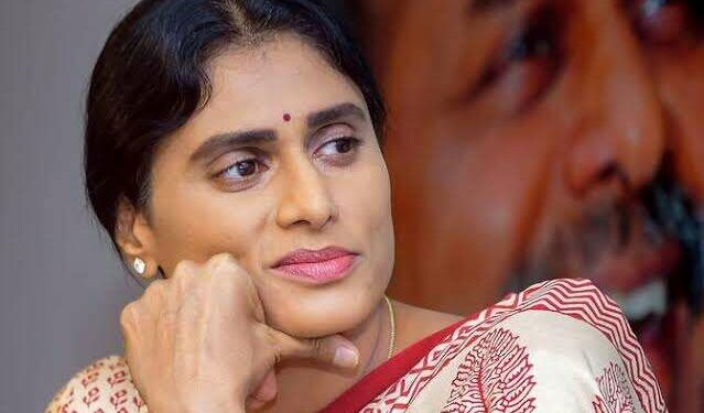 Y S Sharmila appointed as Andhra Pradesh Congress President