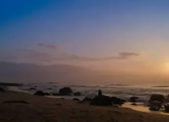 5 mindful wellness practices you should inculcate for a improved lifestyle in 2024