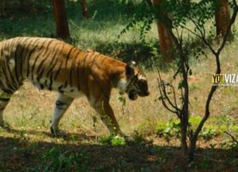 Indira Gandhi Zoological Park: An ideal picnic spot to visit with your family