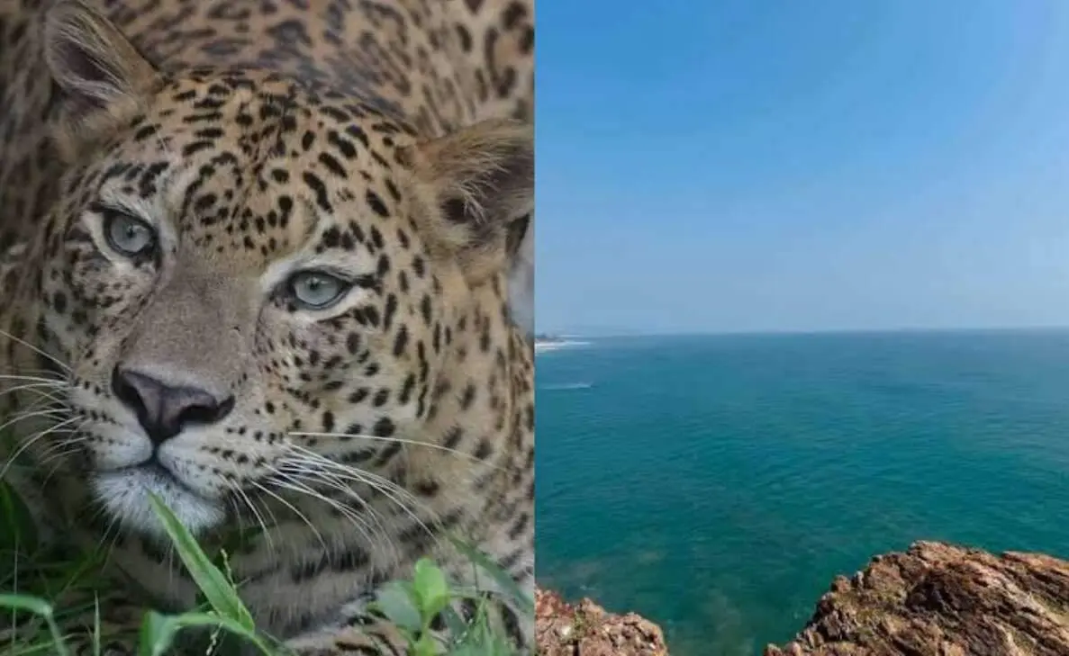 5 Offbeat places in and around Vizag you have to visit in 2024