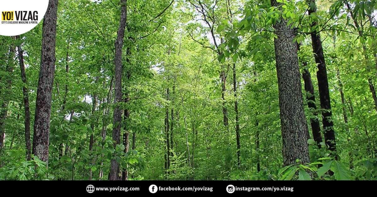 Vizag to celebrate International Biodiversity Day on 21 and 22 May - Vimarsana News