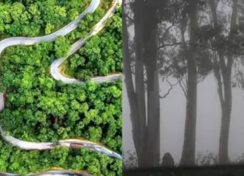 Weekend getaways within 300 km of Vizag that are perfect to break up the busy days