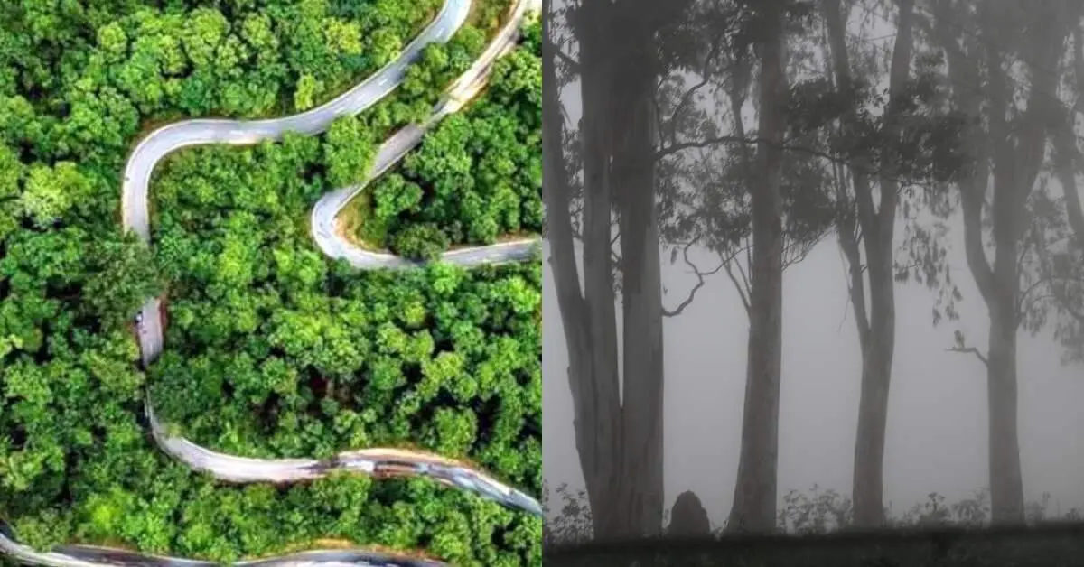 Weekend getaways within 300 km of Vizag for a break from life!