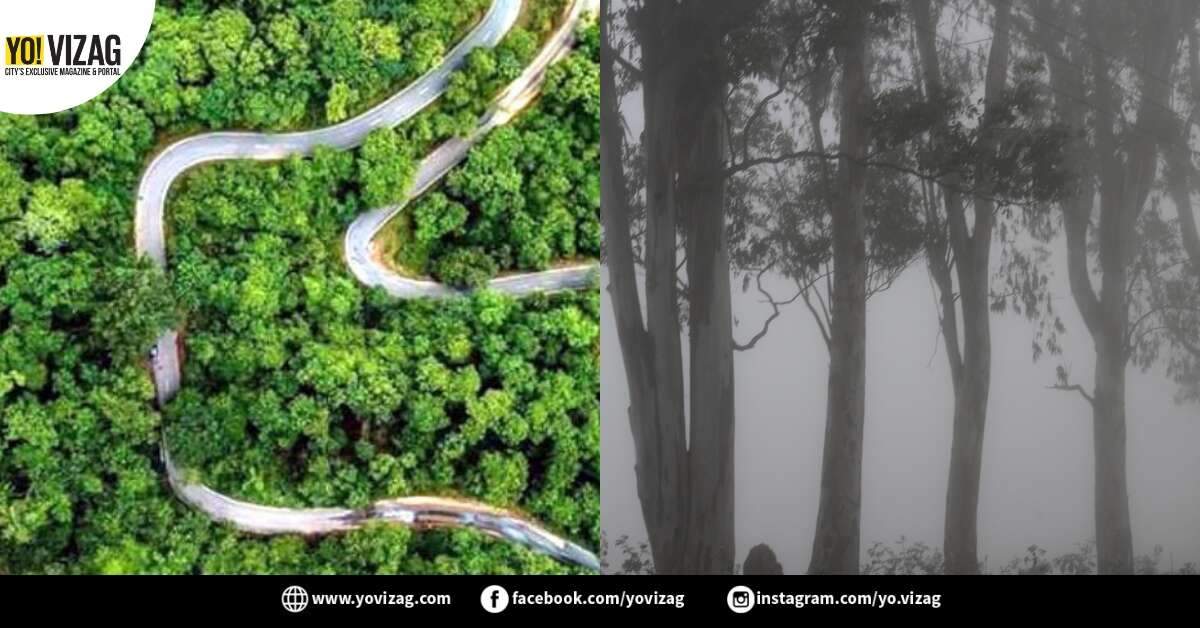 Weekend getaways within 300 km of Vizag for a break from life!