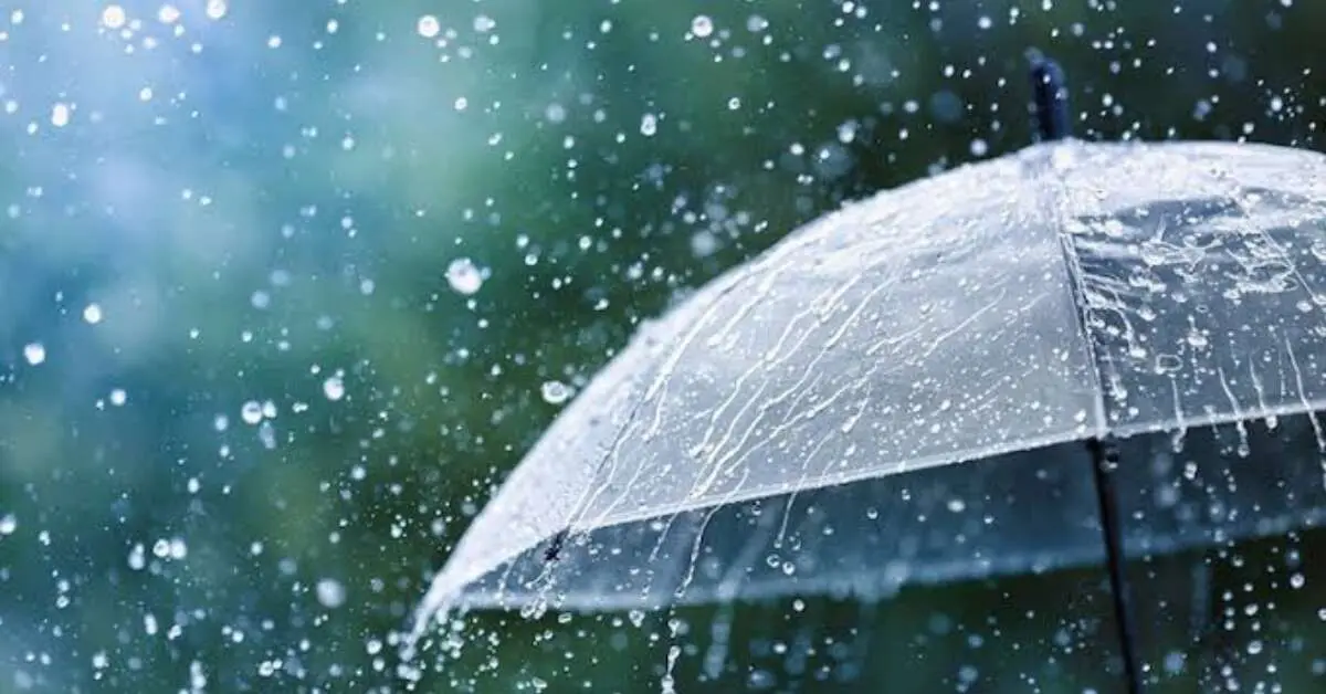 Rain likely to continue as trough persists