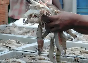 Visakhapatnam Port Leads India’s Marine Cargo Exports in 2023-24