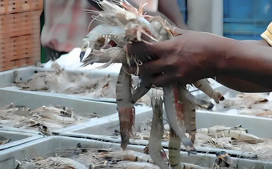 Visakhapatnam port leads India's marine cargo exports in 2023-24