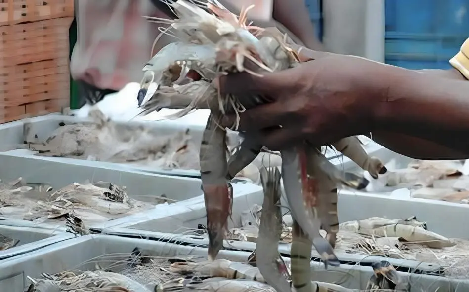 Visakhapatnam port leads India's marine cargo exports in 2023-24