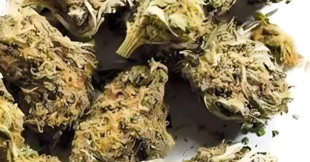 Ganja seized, two women held