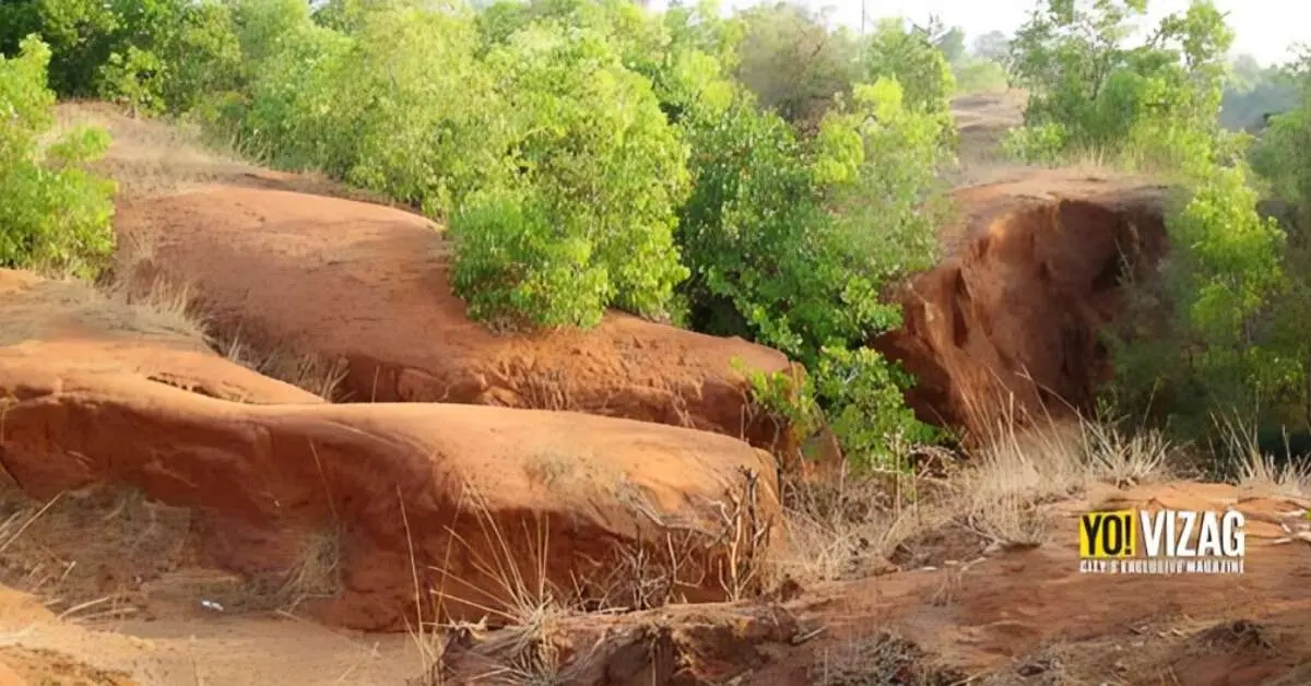 Bulldozers at Erra Matti Dibbalu in Visakhapatnam stir public outcry