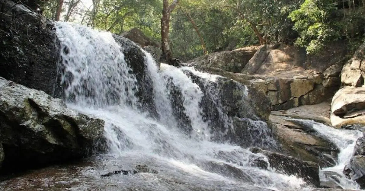 Two medical students died in Maredumilli waterfalls