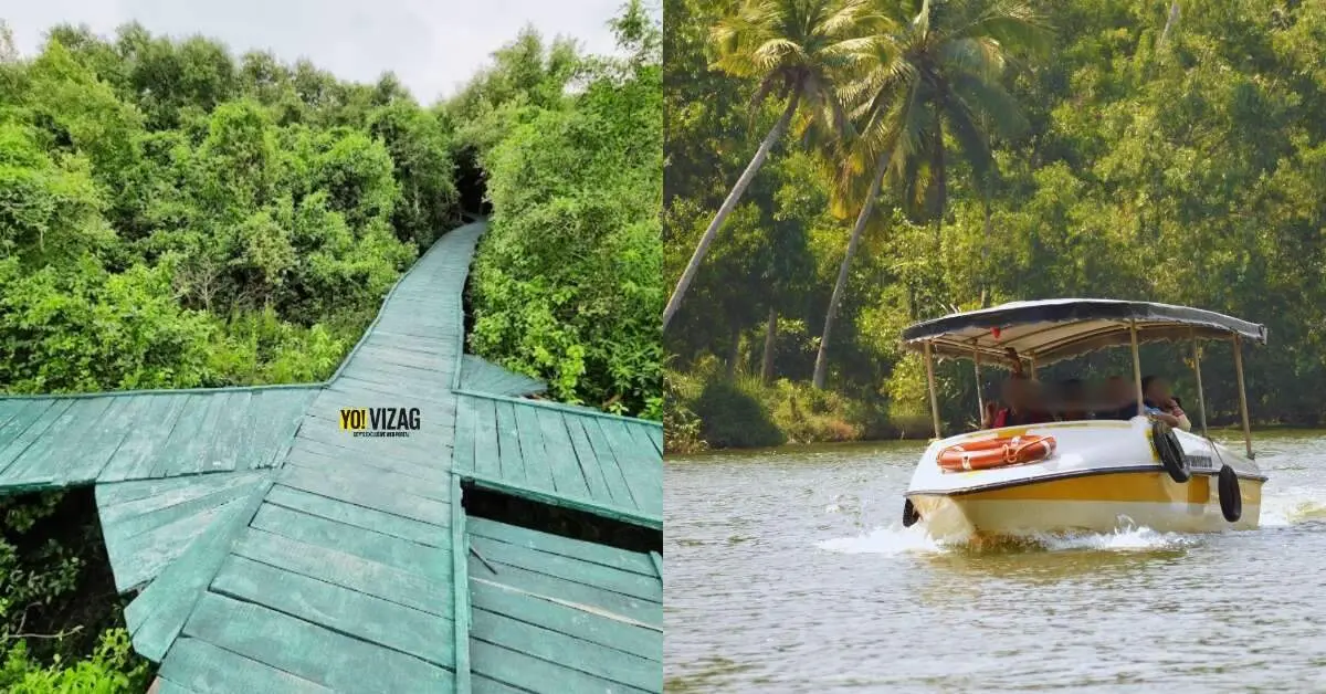 Weekend getaway from Visakhapatnam: Visit India's 3rd largest mangrove forest, just 190 km away