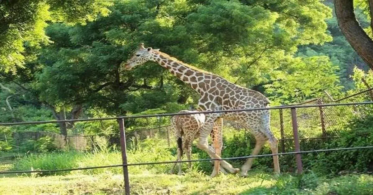 Tourist spots in Vizag beckon as Karthika Masam begins