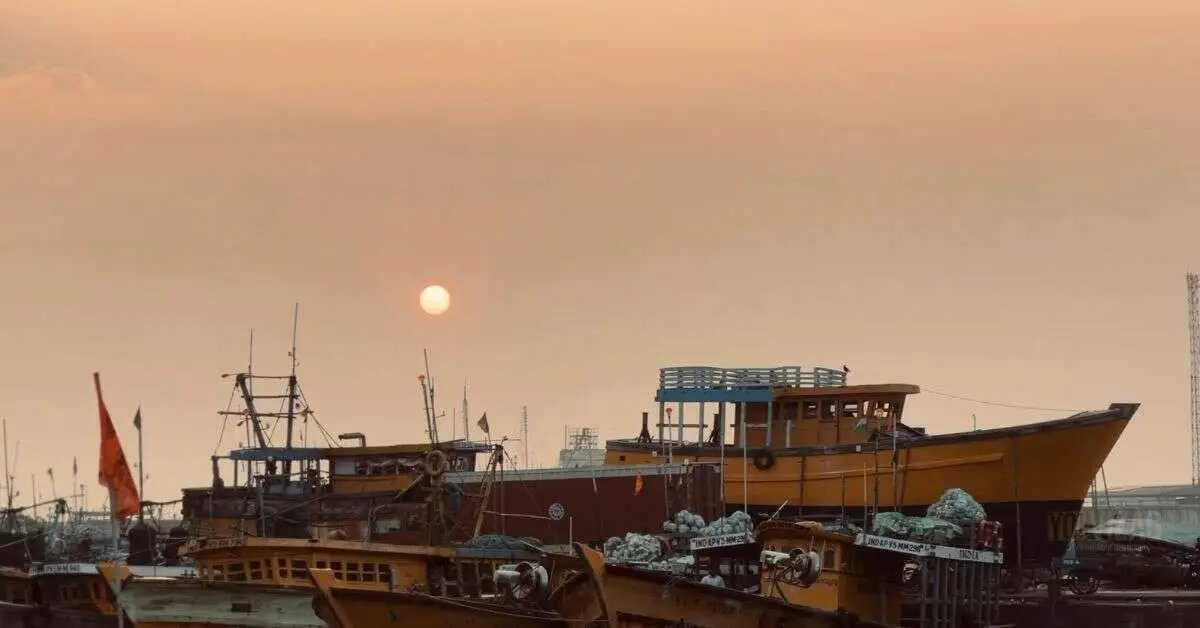 5 reasons why Visakhapatnam Fishing Harbour has our hearts!