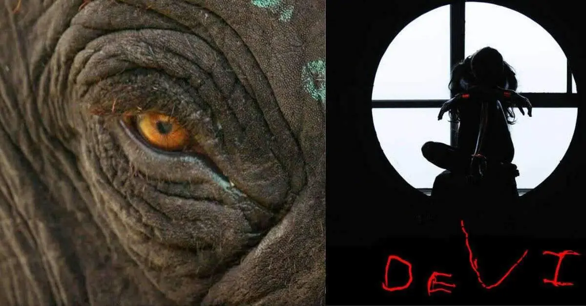 Daring, Inspiring, Transformative: The Power of Indian Short Films on OTT