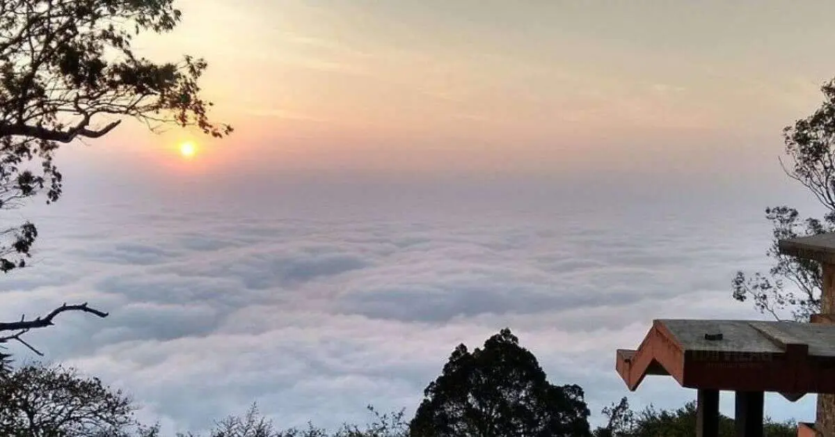 Plan a trip to these high-altitude places from Visakhapatnam & touch clouds!