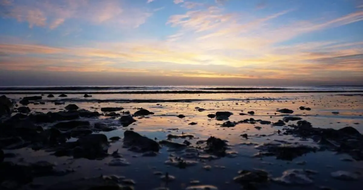Not your usual beach day: 5 iconic times Visakhapatnam's beaches made headlines