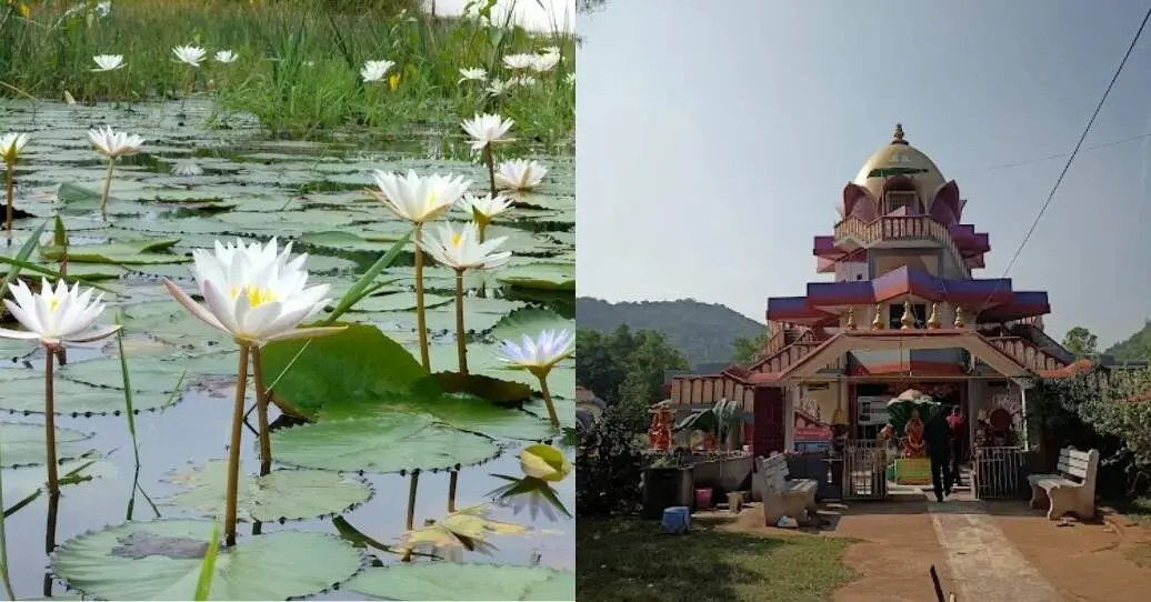 Day trip from Visakhapatnam: 5 must-visit places in Anakapalle!