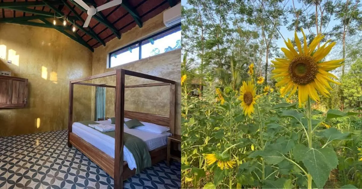 Leave the city and live carefree at these beautiful farm stays near Visakhapatnam!