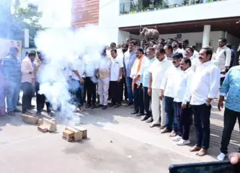 TDP celebrates announcement of revival package for VSP