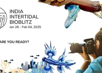 Capture, Contribute and Conserve: Join India’s largest Intertidal Bioblitz in Visakhapatnam!