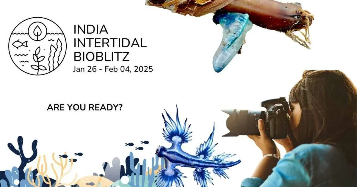 Capture & contribute: Join India's largest intertidal bioblitz in Visakhapatnam!