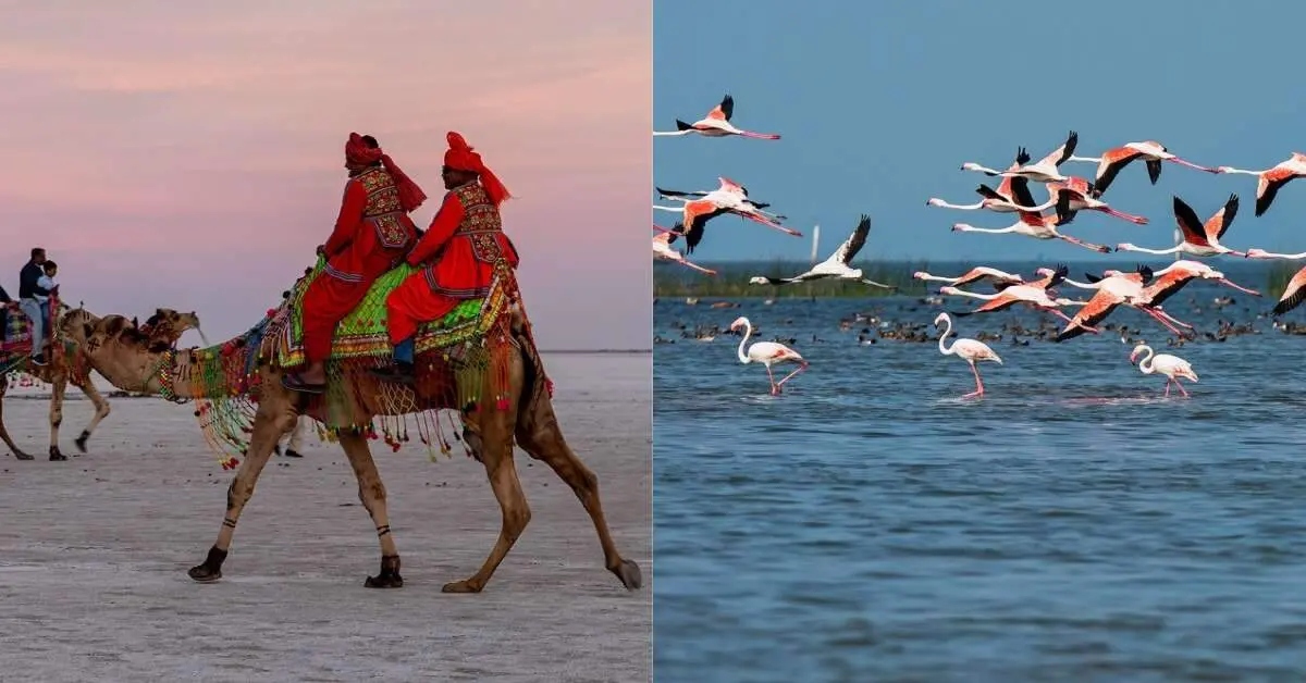 5 seasonal travel ideas from Visakhapatnam for the upcoming long weekend in Jan 2025