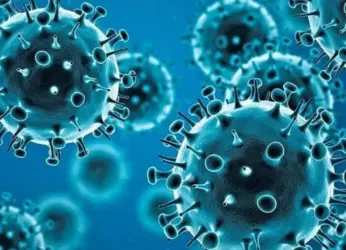 A new human-infecting coronavirus has been found in China