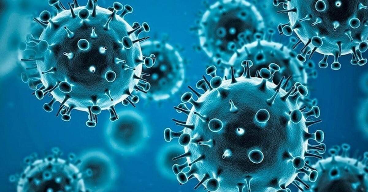 A new human-infecting coronavirus has been found in China