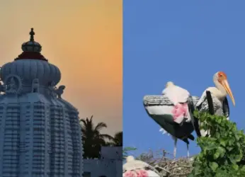 Srikakulam Awaits: A Complete Travel Guide from Vizag!