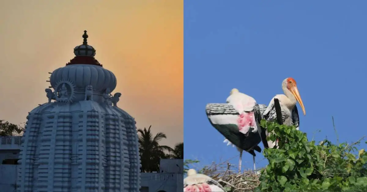 Srikakulam Awaits: A Complete Travel Guide from Vizag!