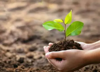 Visakhapatnam Port Authority to plant 1 million saplings in the city