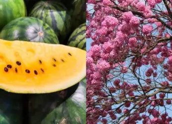 If you’re in Visakhapatnam, there’s no better time than now to do these 6 things