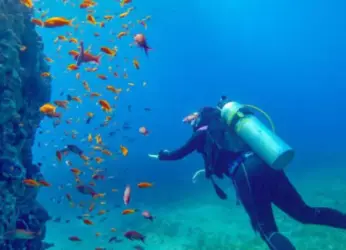 A First-Timer’s Insights on Scuba Diving in Visakhapatnam