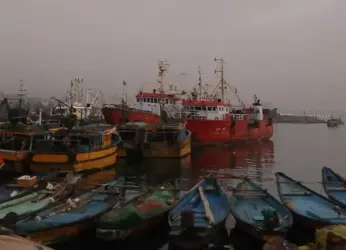 Fisherman Dragged into the Sea by 200 kg Fish Near Visakhapatnam