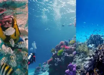 Snorkelling 101: A beginner’s guide and top places to visit in India!