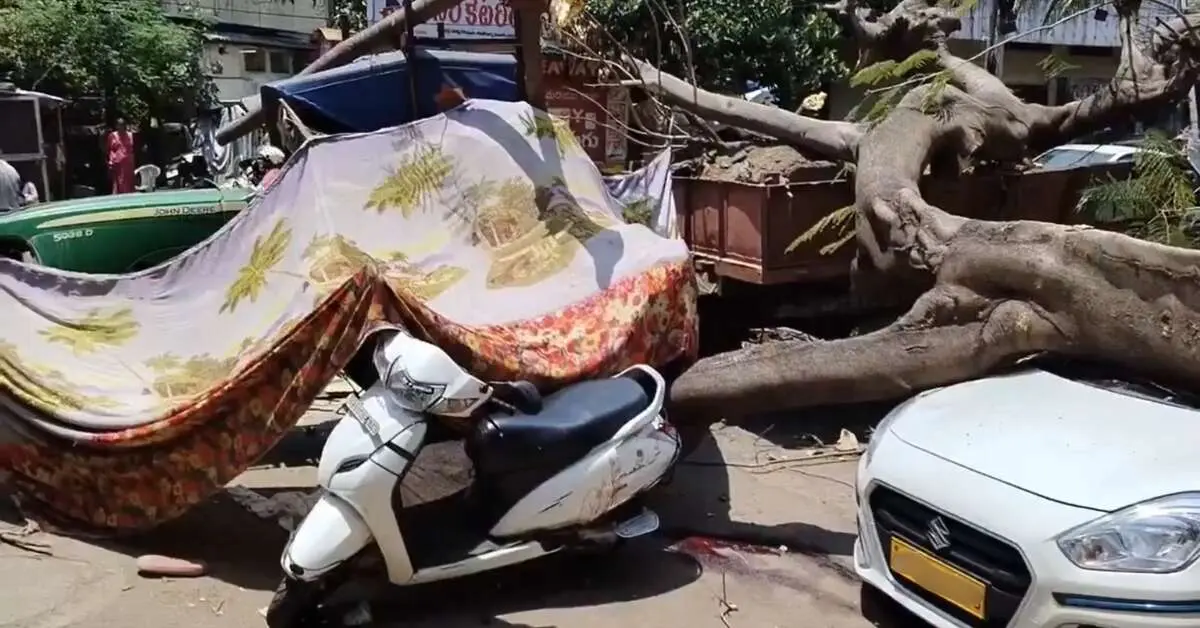 Tree falls, crushes woman to death in Seethammadhara, Visakhapatnam